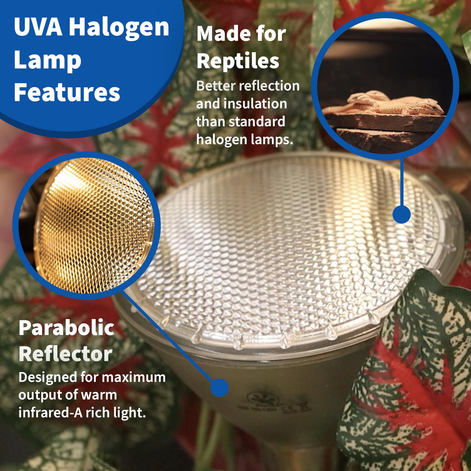 Pangea 50W Halogen Heat Lamp For Reptiles - Warming Uva And Infrared Light For Turtles, Tortoises, Bearded Dragons - Heating Bul